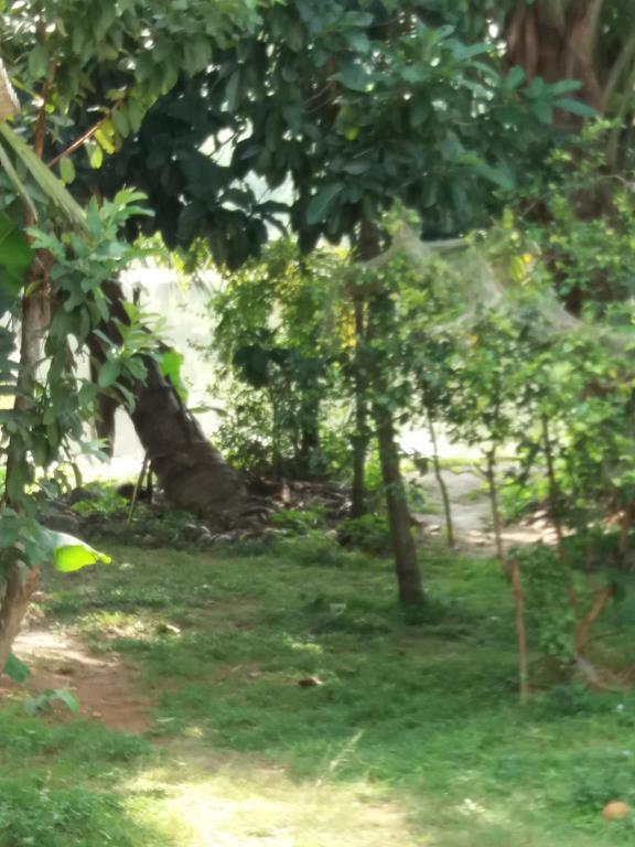 Ishitha Homestay Tangalle Εξωτερικό φωτογραφία
